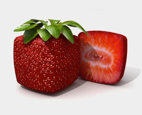 Ralf G. Nemeczek - form follows function neu